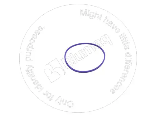 УПЛОТНИТЕЛЬНОЕ КОЛЬЦО VOE423123 ST BLUMAQ