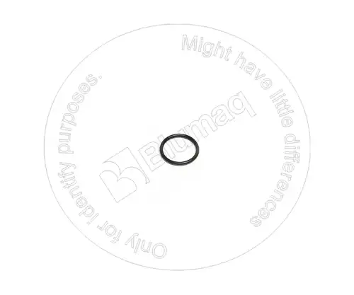 Кольцо уплотнительное VOE4880663 ST BLUMAQ