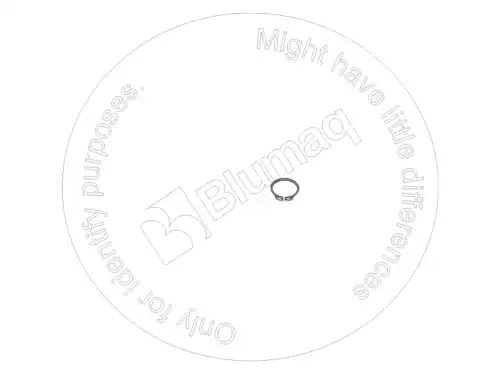 ПРУЖИННОЕ КОЛЬЦО VOE914454 ST BLUMAQ