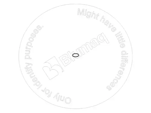 УПЛОТНИТЕЛЬНОЕ КОЛЬЦО VOE958227 ST BLUMAQ