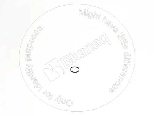 КОЛЬЦО УПЛОТНИТЕЛЬНОЕ VOE993325 ST BLUMAQ