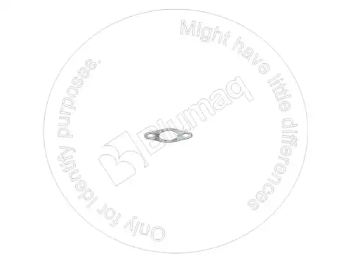 ПРОКЛАДКА 1S4810 BQ BLUMAQ