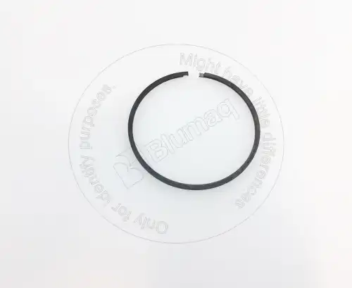 1T0141 ST СЕГМЕНТ BLUMAQ