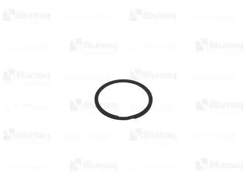КОЛЬЦО СТОПОРНОЕ 1T0649 OE BLUMAQ