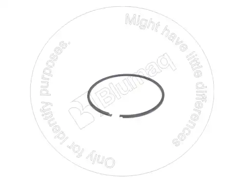 КОЛЬЦО 1T0794 ST BLUMAQ