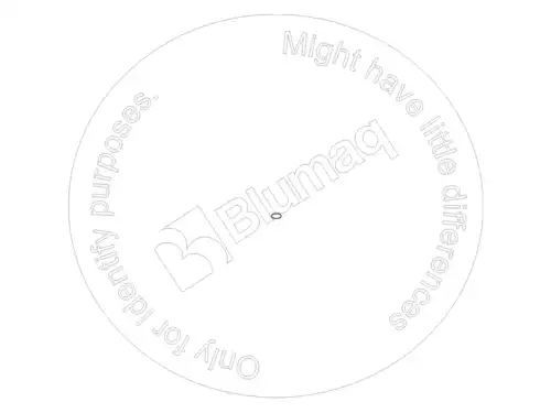 УПЛОТНИТЕЛЬНОЕ КОЛЬЦО 0335853 ST BLUMAQ