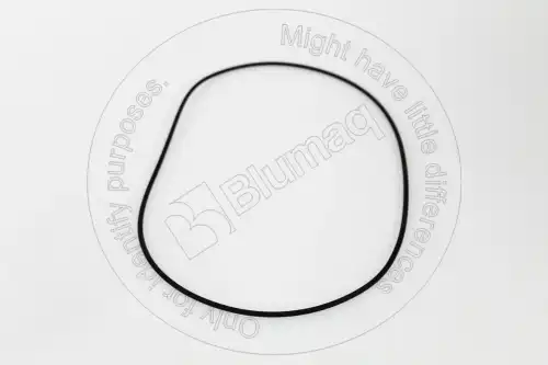 УПЛОТНИТЕЛЬНОЕ КОЛЬЦО 2D9572 ST BLUMAQ