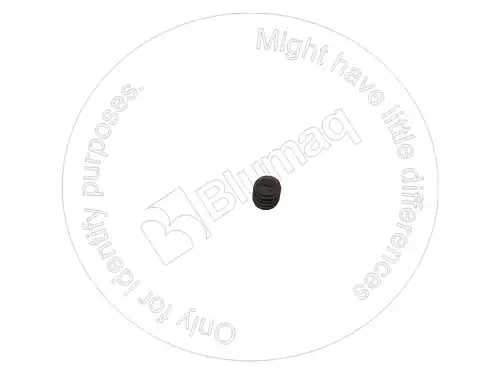 Винт 2F5326 ST BLUMAQ