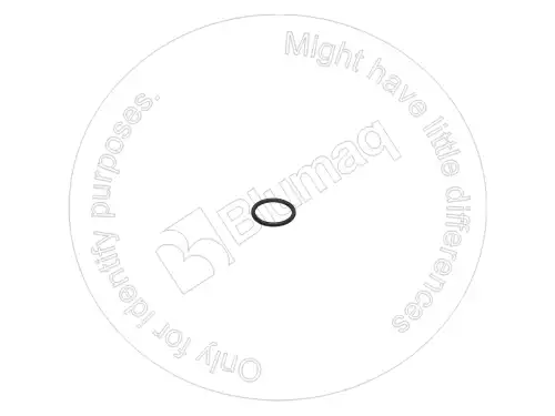 УПЛОТНИТЕЛЬНОЕ КОЛЬЦО 0773919 ST BLUMAQ