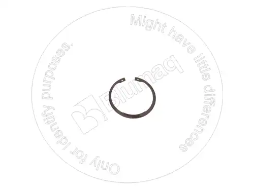 Кольцо 2H5549 ST BLUMAQ