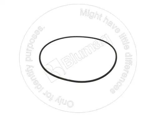 2K2939 ST КОЛЬЦО КРУГЛОГО СЕЧЕНИЯ BLUMAQ