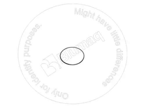 2K6830 ST ВОЗВРАТНОЕ КОЛЬЦО BLUMAQ