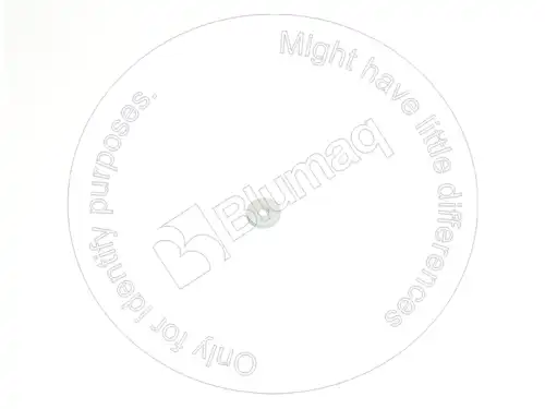 ШАЙБА 2S6160 BQ BLUMAQ