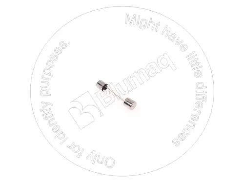 ПЛАВКИЙ ПРЕДОХРАНИТЕЛЬ 2Y8625 ST BLUMAQ