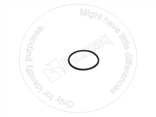 УПЛОТНИТЕЛЬНОЕ КОЛЬЦО 0941054 ST BLUMAQ