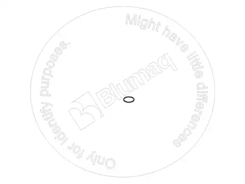 УПЛОТНИТЕЛЬНОЕ КОЛЬЦО 0951585 ST BLUMAQ