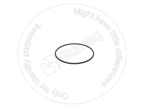 УПЛОТНИТЕЛЬНОЕ КОЛЬЦО 3E6703 ST BLUMAQ