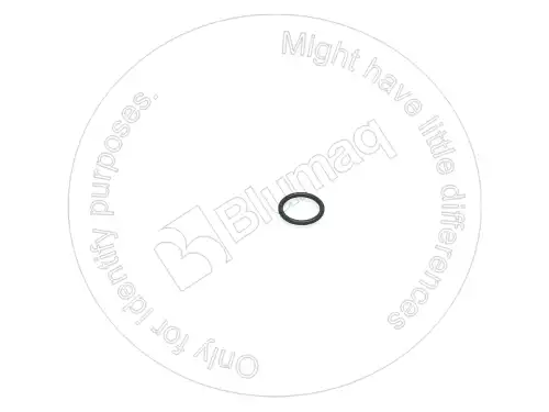 УПЛОТНИТЕЛЬНОЕ КОЛЬЦО 0983184 ST BLUMAQ