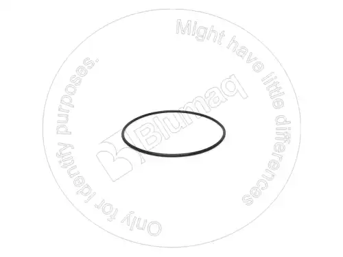 УПЛОТНИТЕЛЬНОЕ КОЛЬЦО 1076280 ST BLUMAQ