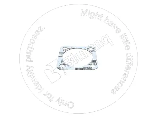 4F4873 BQ ПРОКЛАДКА BLUMAQ