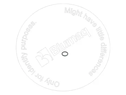 УПЛОТНИТЕЛЬНОЕ КОЛЬЦО 1136303 OE BLUMAQ