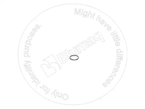 УПЛОТНИТЕЛЬНОЕ КОЛЬЦО 4J8997 ST BLUMAQ