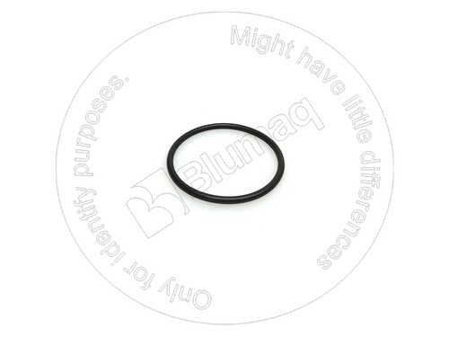 4L9564 ST УПЛОТНИТЕЛЬНОЕ КОЛЬЦО BLUMAQ