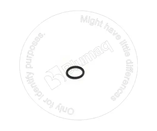 УПЛОТНИТЕЛЬНОЕ КОЛЬЦО 4N0223 ST BLUMAQ