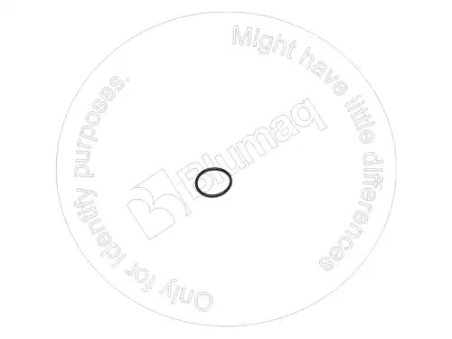 УПЛОТНИТЕЛЬНОЕ КОЛЬЦО 1187214 ST BLUMAQ