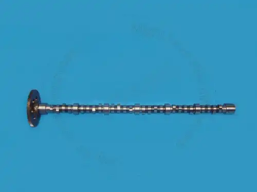 Распредвал BLUMAQ 4N9053 BQ