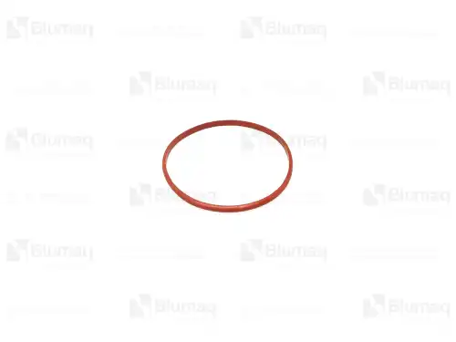 УПЛОТНИТЕЛЬНОЕ КОЛЬЦО 1313717 ST BLUMAQ