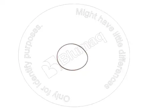 УПЛОТНИТЕЛЬНОЕ КОЛЬЦО 5E8771 ST BLUMAQ