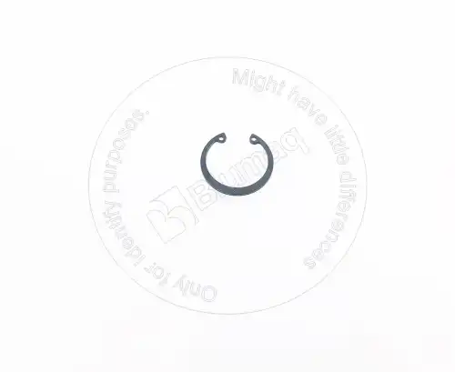 КОЛЬЦО 5I7667 ST BLUMAQ