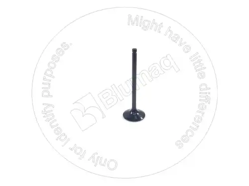 КЛАПАН 5I7738 BQ BLUMAQ