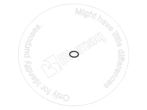 УПЛОТНИТЕЛЬНОЕ КОЛЬЦО 5J2974 ST BLUMAQ