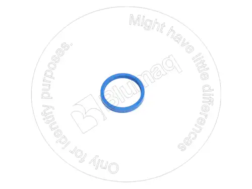 5J8300 ST САЛЬНИК BLUMAQ