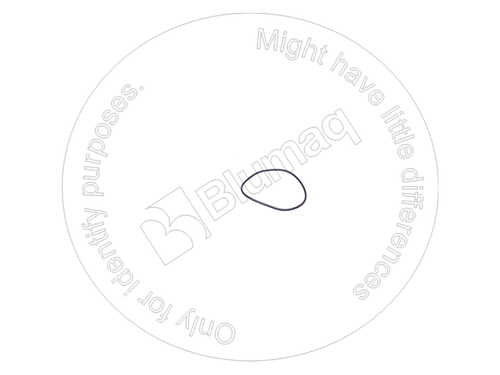 УПЛОТНИТЕЛЬНОЕ КОЛЬЦО 1416188 ST BLUMAQ