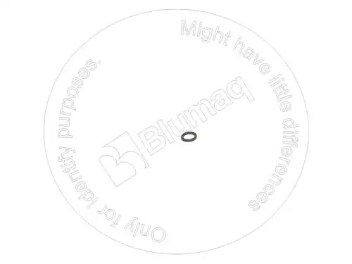 УПЛОТНИТЕЛЬНОЕ КОЛЬЦО 5P5598 ST BLUMAQ