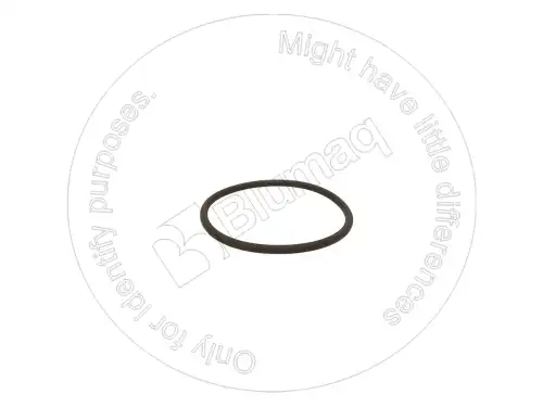 УПЛОТНИТЕЛЬНОЕ КОЛЬЦО 5P5601 ST BLUMAQ
