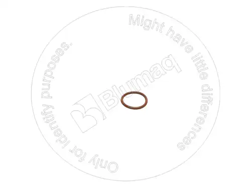 УПЛОТНИТЕЛЬНОЕ КОЛЬЦО 5P8066 ST BLUMAQ
