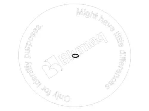 УПЛОТНИТЕЛЬНОЕ КОЛЬЦО 5P8119 ST BLUMAQ