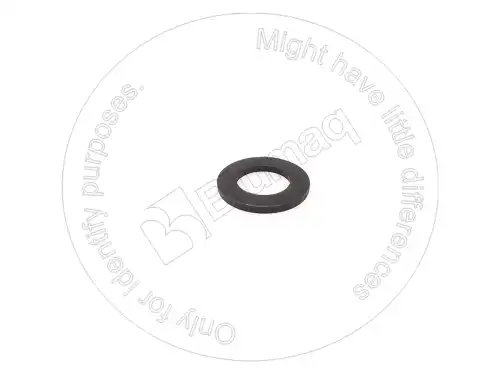 Шайба 5P8249 ST BLUMAQ