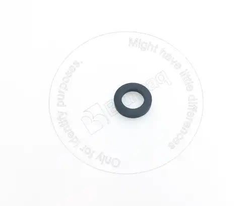ШАЙБА 1541580 ST BLUMAQ