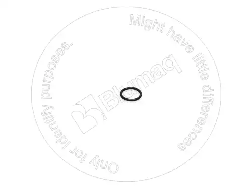 УПЛОТНИТЕЛЬНОЕ КОЛЬЦО 5W4202 ST BLUMAQ