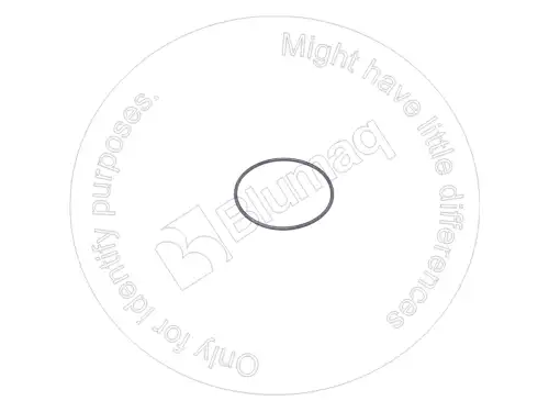 1600526 ST КОЛЬЦО КРУГЛОГО СЕЧЕНИЯ BLUMAQ