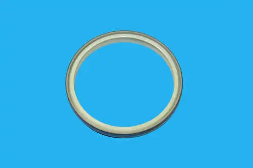 УПЛОТНЕНИЕ ТИПА L 1659289 ST BLUMAQ
