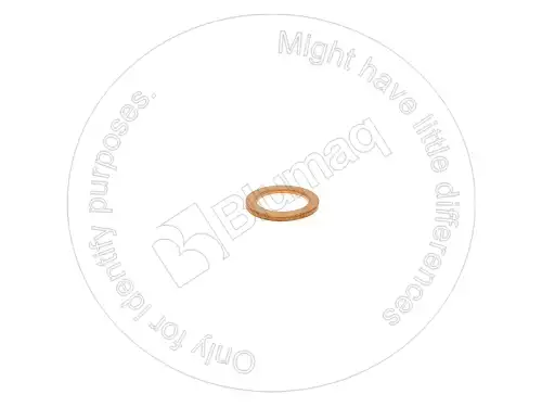 ШАЙБА 6F7062 OE BLUMAQ