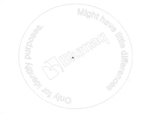 УПЛОТНИТЕЛЬНОЕ КОЛЬЦО 6H9691 ST BLUMAQ