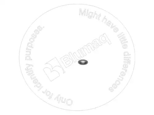ШАЙБА 6I0928 ST BLUMAQ
