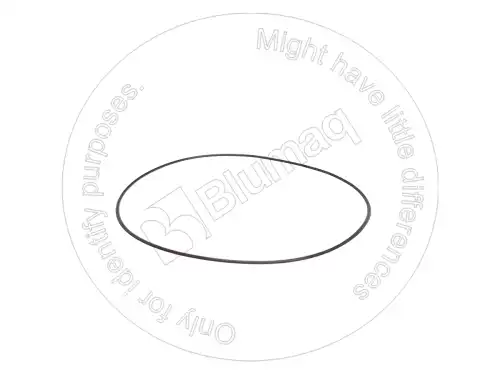 УПЛОТНИТЕЛЬНОЕ КОЛЬЦО 1772553 ST BLUMAQ